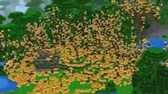 The "Brazilian" Technique (Image via Minecraft)